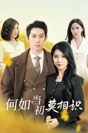 何如当初莫相识(36集) 何如当初莫相识(36集)在哪里看