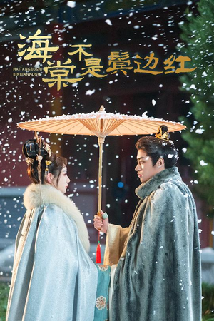 人生若只如初见（30集）百度网盘资源