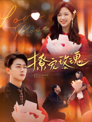 撩宠玫瑰(99集) 撩宠玫瑰(99集)全集