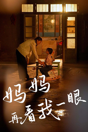 妈妈再看我一眼(32集) 妈妈再看我一眼(32集)在线看完整版