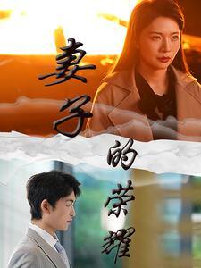 妻子的荣耀（40集）好看上头短剧