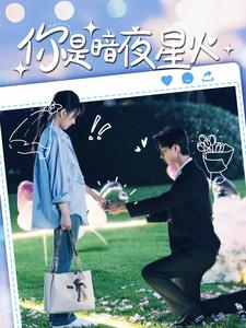你是暗夜星火(120集) 你是暗夜星火(120集)全集一网打尽