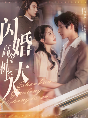 闪婚高冷机长大人（92集）在线看到大结局