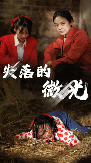 失落的微光(60集) 失落的微光(60集)最火短剧推荐