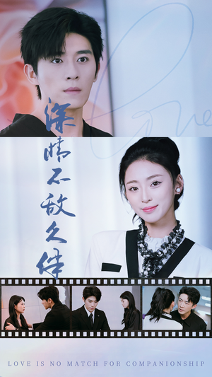 深情不敌久伴(50集) 深情不敌久伴(50集)百度网盘资源