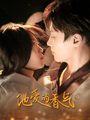 他爱的香气（81集）贝贝短剧分享