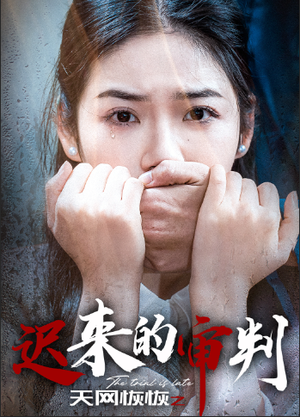 天网恢恢之迟来的审判(31集) 天网恢恢之迟来的审判(31集)短剧分享剧集