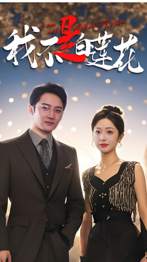 我不是白莲花(78集) 我不是白莲花(78集)百度网盘资源