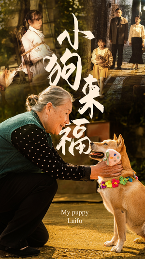 小狗来福(30集) 小狗来福(30集)演的怎么样