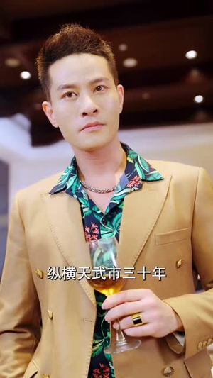 杏林逸韵(100集) 杏林逸韵(100集)精彩短剧下载