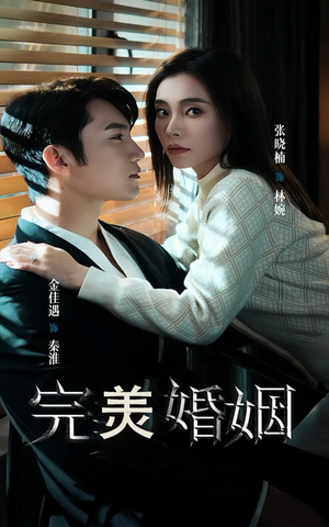 完美婚姻(65集) 完美婚姻(65集)女主角是谁