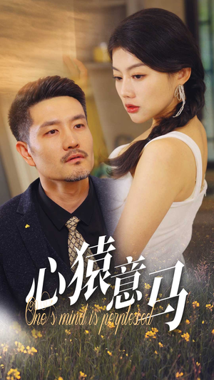 心猿意马(30集) 心猿意马(30集)百度网盘资源