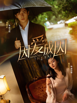 因爱成囚(30集) 因爱成囚(30集)第二季