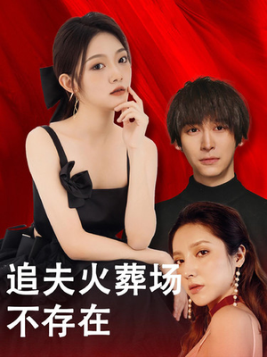 追夫火葬场不存在(100集) 追夫火葬场不存在(100集)短剧在线观看