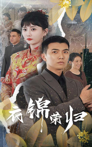 衣锦荣归（81集）短剧全集免费