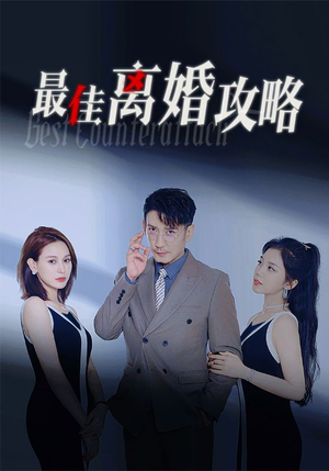 最佳离婚攻略(31集) 最佳离婚攻略(31集)每天分享短剧