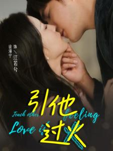 引他过火(40集) 引他过火(40集)精彩短剧后续