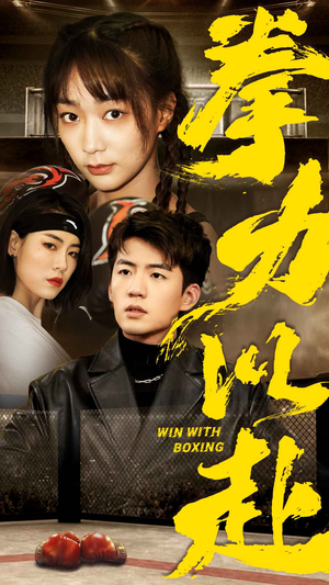 拳力以赴（80集）解说文案