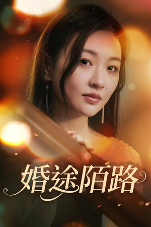 婚途陌路(15集) 婚途陌路(15集)短剧热门分享