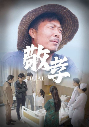 敬孝(61集) 敬孝(61集)每日分享短剧