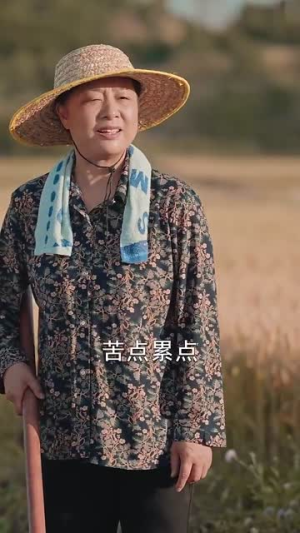 志在千里（30集）热门短剧分享