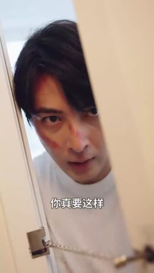 婚姻启示录（29集）最新短剧推荐