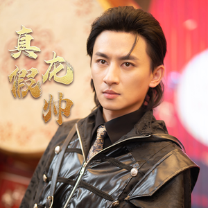 真假龙帅(81集) 真假龙帅(81集)独家短剧免费看