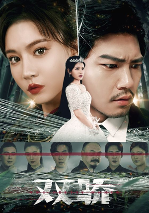 双骄（66集）分享热门短剧