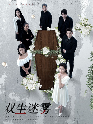 双生迷雾(80集) 双生迷雾(80集)推荐你们也去看