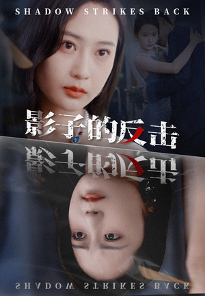 影子的反击(31集) 影子的反击(31集)第三季