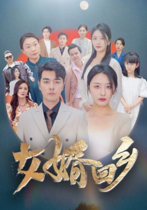 女婿回乡（120集）去哪里看