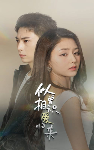 似曾相识爱归来（77集）最新热剧免费看