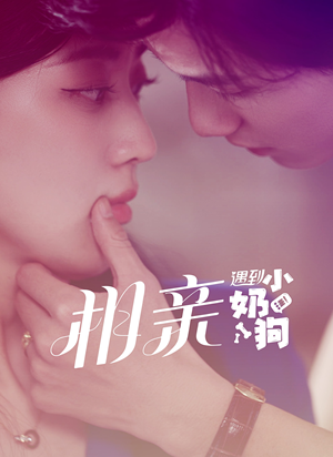 相亲遇到小奶狗(80集) 相亲遇到小奶狗(80集)短剧免费分享