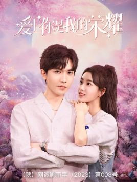 爱上你是我的荣耀（57集）全集免费观看