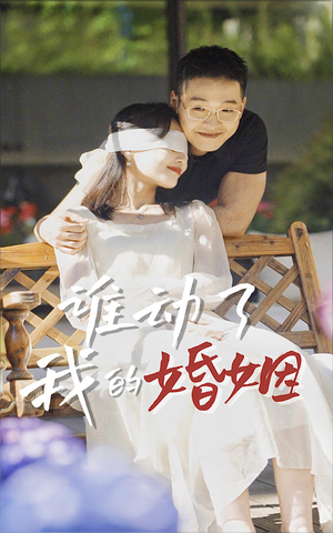 谁动了我的婚姻(24集) 谁动了我的婚姻(24集)网上可以看吗