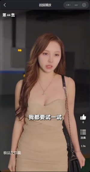 我的富豪美女总裁(我的极品女总裁) 我的富豪美女总裁(我的极品女总裁)正能量短剧分享