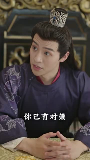 报告王爷王妃是凤女（78集）火爆短剧热播中