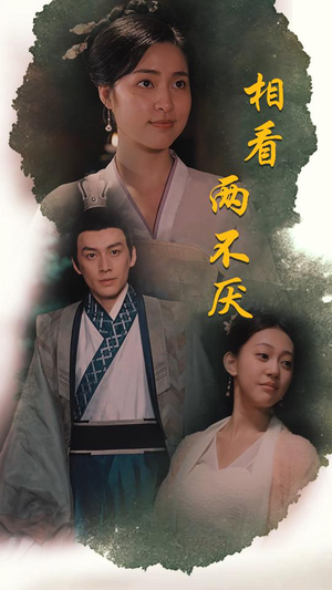 相看两不厌(85集) 相看两不厌(85集)让你一口气看完