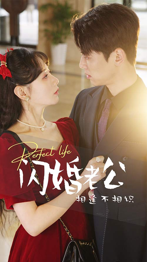 闪婚老公相逢不相识(90集) 闪婚老公相逢不相识(90集)精彩短剧上线