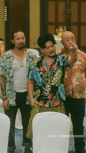 特工凤凰（绝色特工）完整版免费观看