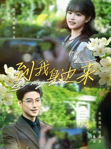 到我身边来（100集）视频在线看