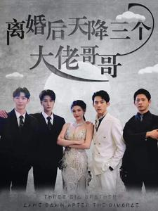 离婚后天降三个大佬哥哥(83集) 离婚后天降三个大佬哥哥(83集)红果免费短剧