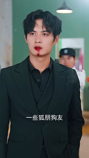 龙组(82集) 龙组(82集)短剧太好看