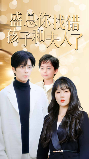 盛总你找错孩子和夫人了（82集）短剧在线观看