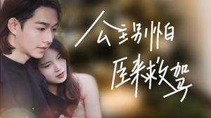 公主别怕,臣来救驾(90集) 公主别怕,臣来救驾(90集)在线看免费版