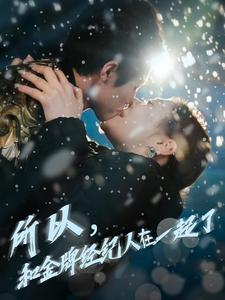 所以和金牌经纪人在一起了(30集) 所以和金牌经纪人在一起了(30集)独家资源免费看