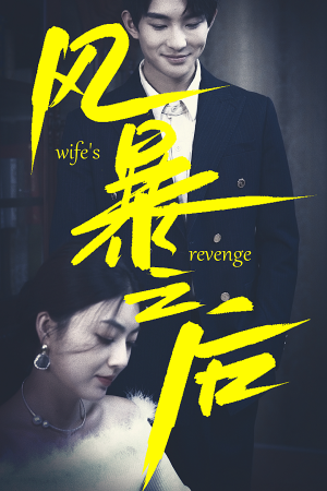 风暴之后(80集) 风暴之后(80集)最火的短剧