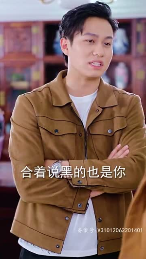 傲视潜龙（100集）在哪看免费