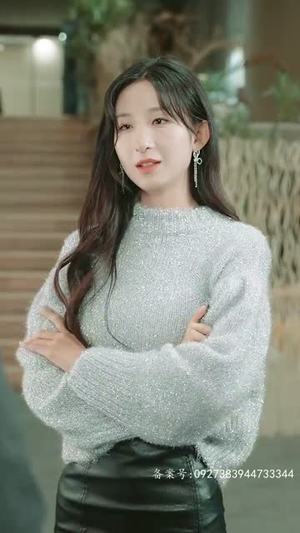 追龙之罪与罚（100集）大结局