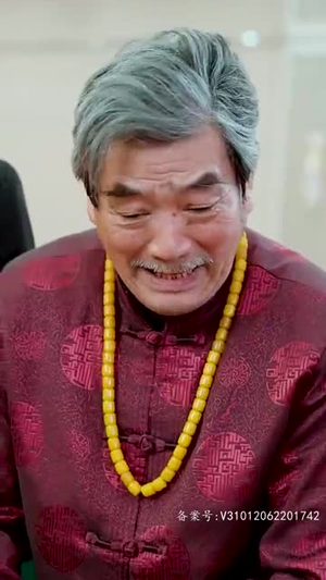 踏雪(96集) 踏雪(96集)精彩连连免费看